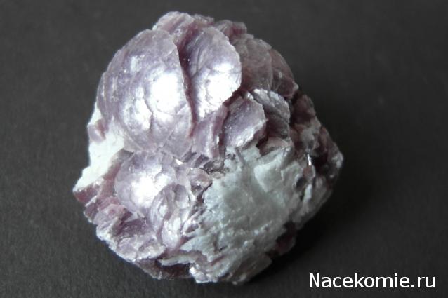 Минералы Сокровища Земли №19 - Лепидолит