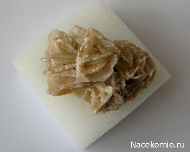 Минералы Сокровища Земли №21 - Роза пустыни