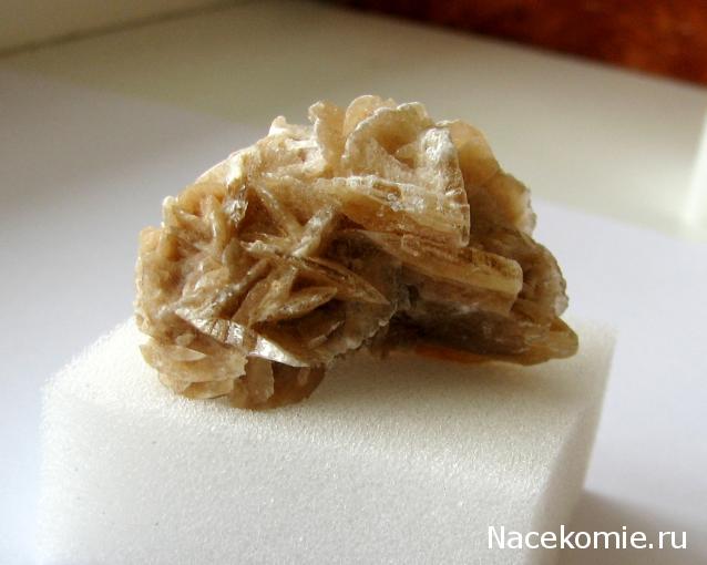 Минералы Сокровища Земли №21 - Роза пустыни