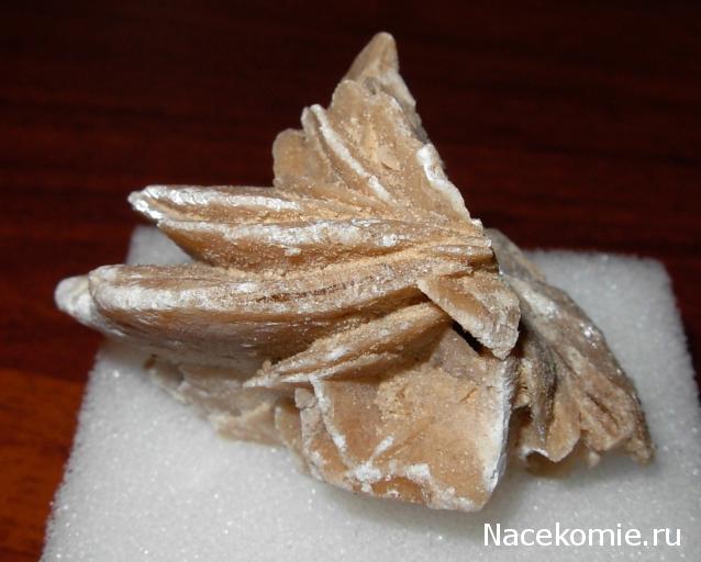 Минералы Сокровища Земли №21 - Роза пустыни