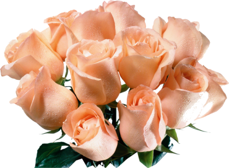 Дом Мечты наши дни рождения