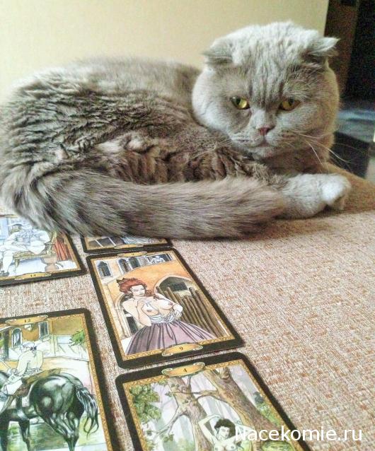 Завтрак с да Винчи. Болталка серии Энциклопедия Таро