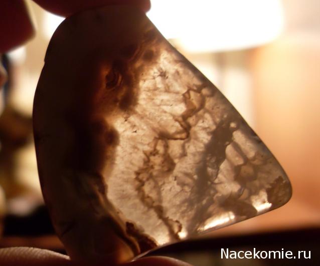 Минералы Сокровища Земли №15 - Агат