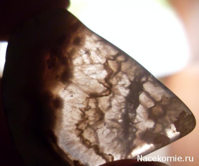 Минералы Сокровища Земли №15 - Агат