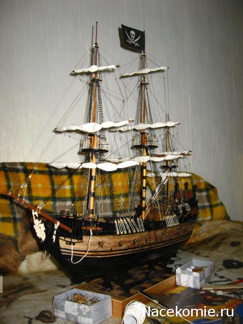 Собери Черную Жемчужину - График Выхода и обсуждение