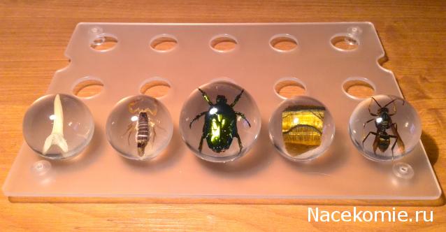 Чудеса Природы - График Выхода и обсуждение