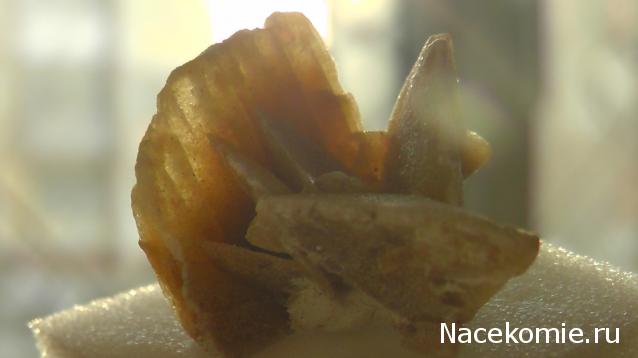 Минералы Сокровища Земли №21 - Роза пустыни