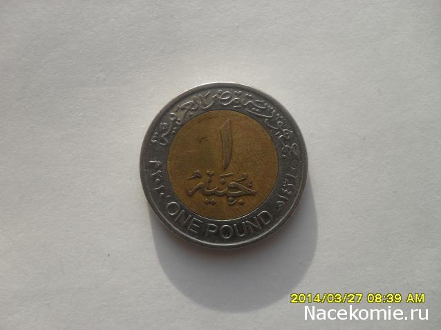 Nata