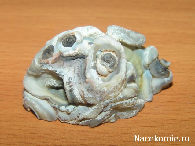 Минералы Сокровища Земли №29 - Халцедон