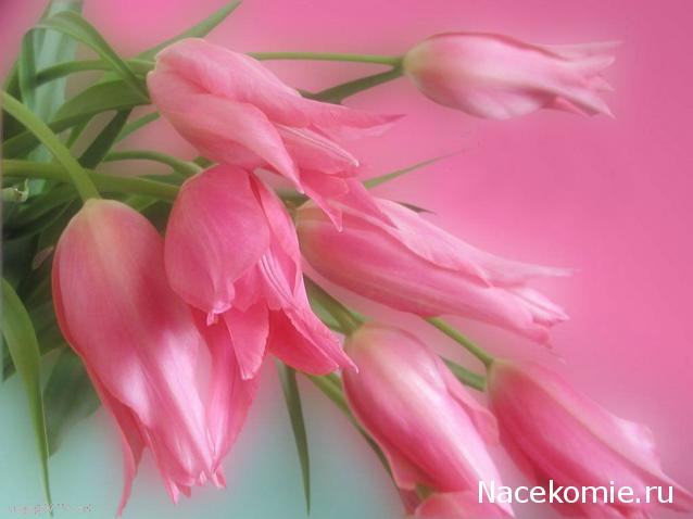 Дамы эпохи - Наши дни рождения