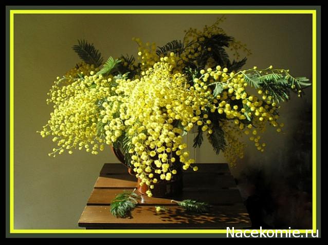 Дом Мечты Болталка: перезагрузка