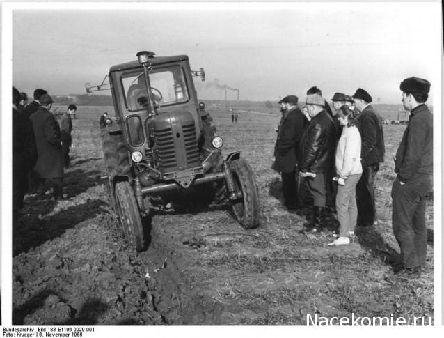 Тестовая серия