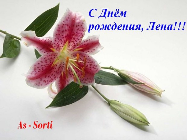 Дамы эпохи - Наши дни рождения