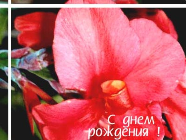 Азалия с днем рождения тебя Азалия с днем рождения тебя