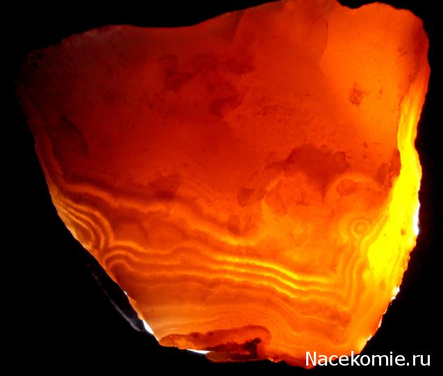 Минералы Сокровища Земли №29 - Халцедон