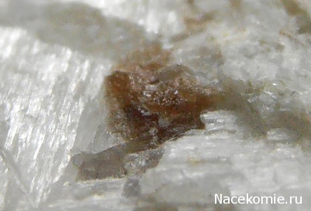 Минералы Сокровища Земли №26 - Волластонит