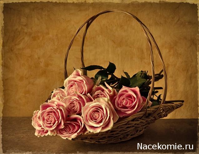 Дамы эпохи - Наши дни рождения