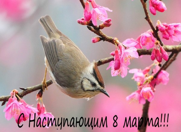 Дамы эпохи - Болталка №2 (соседняя палата)