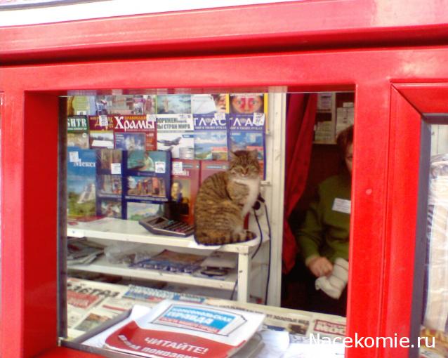 Дамы эпохи - Болталка №2 (соседняя палата)