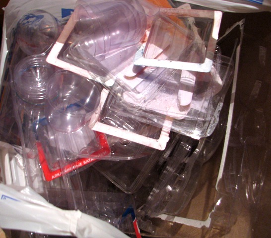 Самостоятельное коллекционирование насекомых