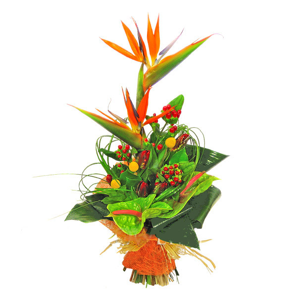 Дамы эпохи - Наши дни рождения