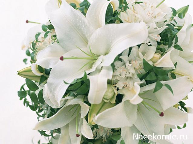 Наши Дни Рождения