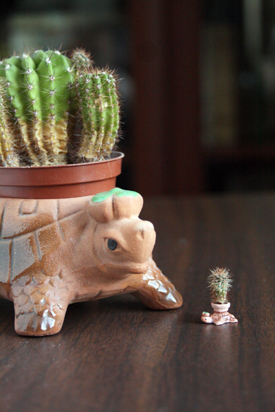 OksaNaV - Дача в Комарово