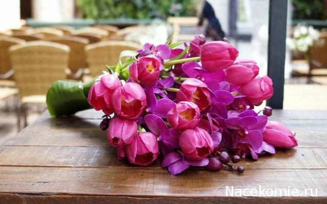 Наши Дни Рождения