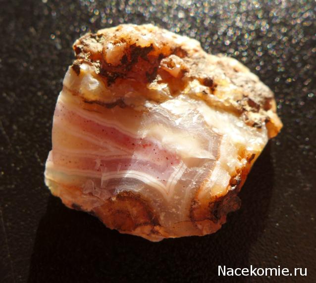 Минералы Сокровища Земли №29 - Халцедон