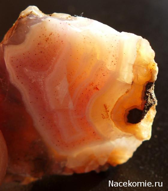 Минералы Сокровища Земли №29 - Халцедон