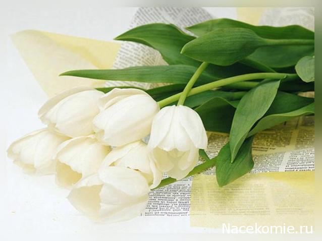 OlgaPro_Заячья норка в Царском селе.