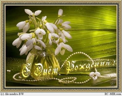 Дом Мечты наши дни рождения