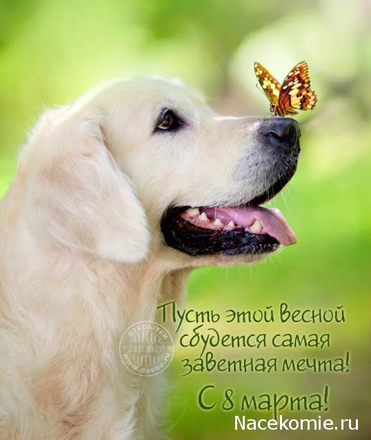 Дамы эпохи - Болталка №2 (соседняя палата)