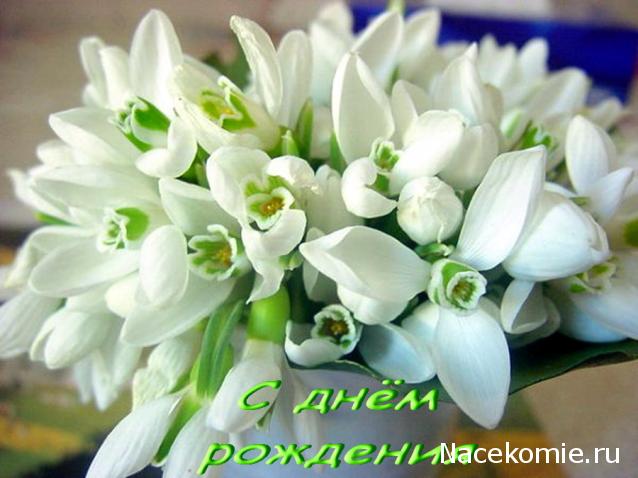 Дом Мечты наши дни рождения