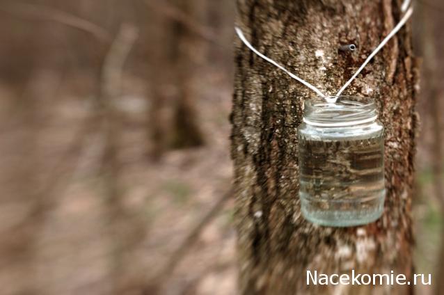 Наполеоновские Войны - Новая флудилка