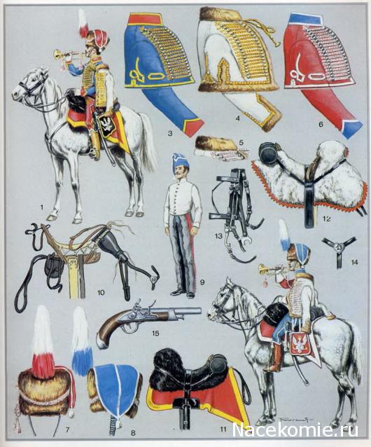 Униформология: польские войска в армии Наполеона и войско Великого Герцогства Варшавского