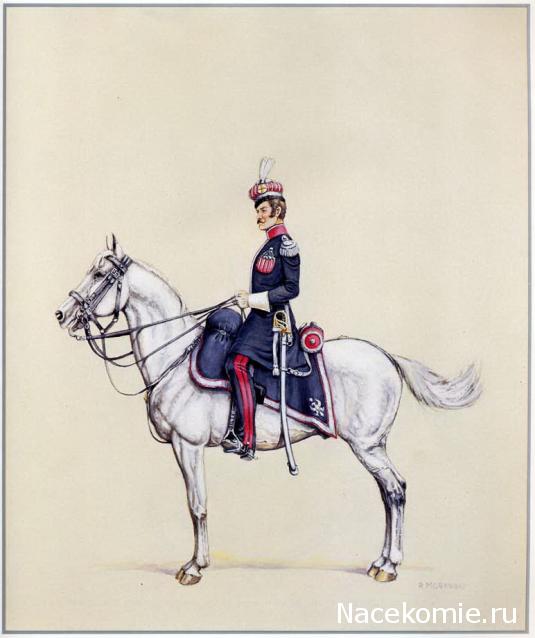 Униформология: польские войска в армии Наполеона и войско Великого Герцогства Варшавского