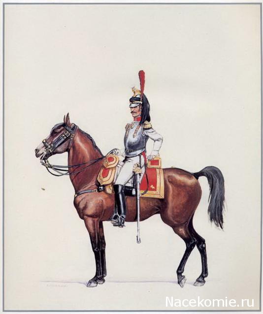 Униформология: польские войска в армии Наполеона и войско Великого Герцогства Варшавского