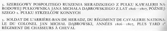 Униформология: польские войска в армии Наполеона и войско Великого Герцогства Варшавского