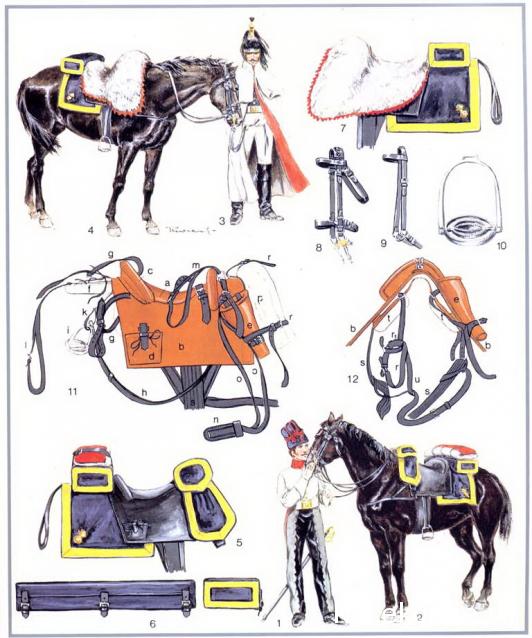 Униформология: польские войска в армии Наполеона и войско Великого Герцогства Варшавского