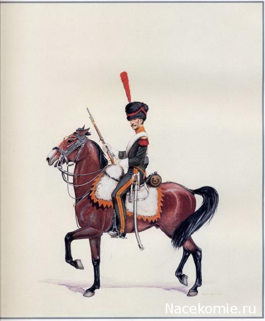 Униформология: польские войска в армии Наполеона и войско Великого Герцогства Варшавского