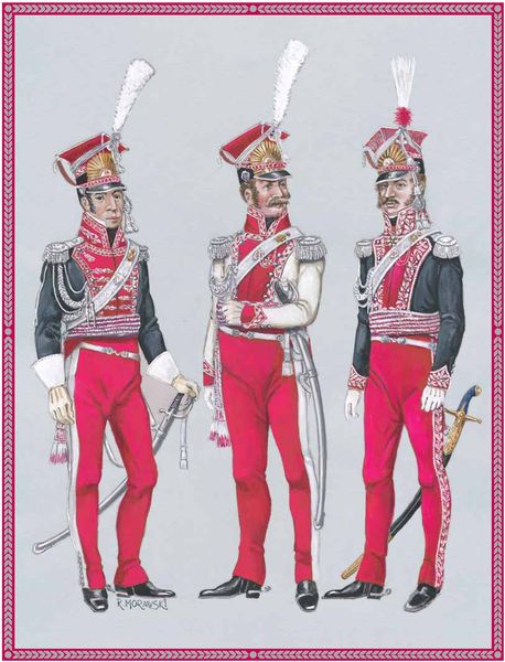 Униформология: польские войска в армии Наполеона и войско Великого Герцогства Варшавского