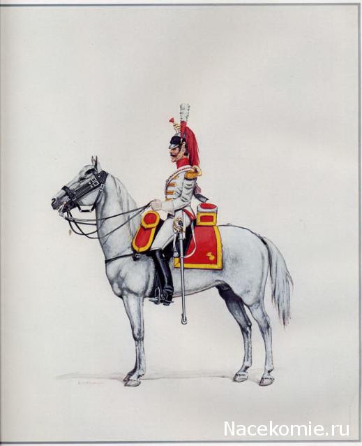 Униформология: польские войска в армии Наполеона и войско Великого Герцогства Варшавского