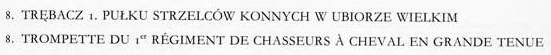 Униформология: польские войска в армии Наполеона и войско Великого Герцогства Варшавского