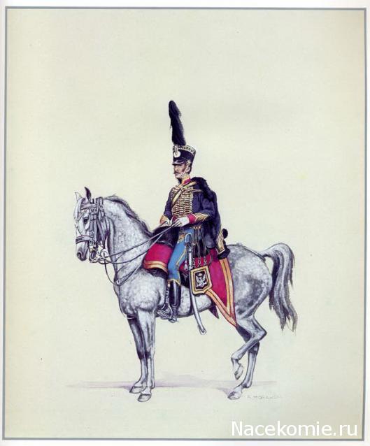 Униформология: польские войска в армии Наполеона и войско Великого Герцогства Варшавского