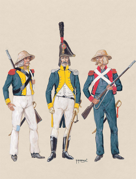 Униформология: польские войска в армии Наполеона и войско Великого Герцогства Варшавского