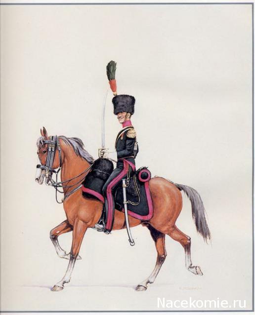 Униформология: польские войска в армии Наполеона и войско Великого Герцогства Варшавского