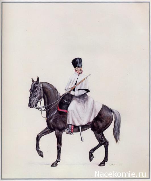 Униформология: польские войска в армии Наполеона и войско Великого Герцогства Варшавского