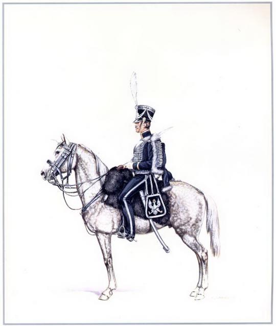 Униформология: польские войска в армии Наполеона и войско Великого Герцогства Варшавского