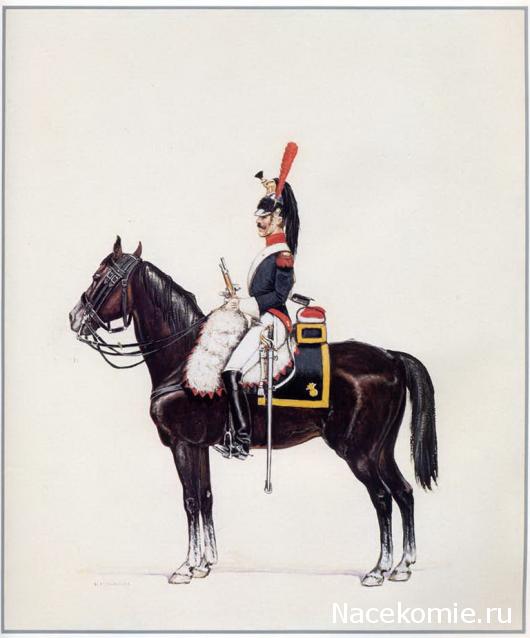 Униформология: польские войска в армии Наполеона и войско Великого Герцогства Варшавского